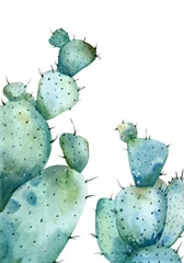 Foto op Canvas Watercolor two big cactuses with long thorns © Yana