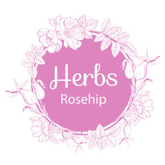 Vector hand-drawn round frame with rosehip flowers and berries, herbs . Rosehip hand sketch vector illustration. Hand drawn eco design for fabric and wrap paper, packaging- tea, oil, cosmetics etc.