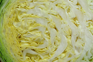 white cabbage in a section