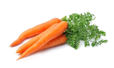 Fotobehang Fresh carrots isolated closeup . © margo555