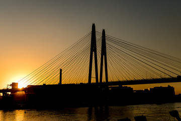 Obraz premium Cable-stayed bridge on the Neva river in St. Petersburg in the sunset.