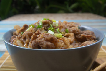 Cooked beef with rice on bowl