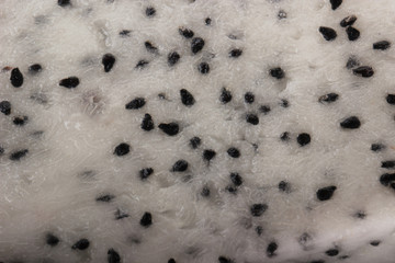 cuted white pitahaya  background
