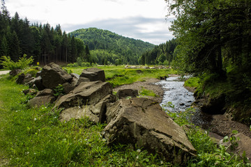 Fototapeta premium Nature forest mountain valley with stream beautiful landscape
