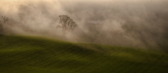 Misty landscapes
