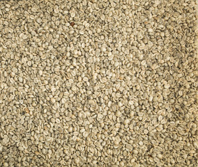 Drying coffee beans for roasting