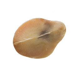 half of shelled salak isolated on white background