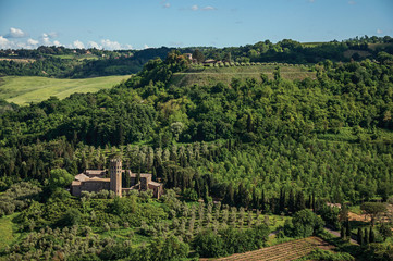 Fototapeta na wymiar Overview of green hills, vineyards, forests and towered stronghold in a sunny day. In front of the Orvieto town, an ancient, pleasant and well preserved medieval town. Located in Umbria, central Italy