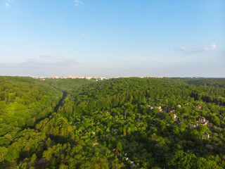 aerial view of forest with blue sky