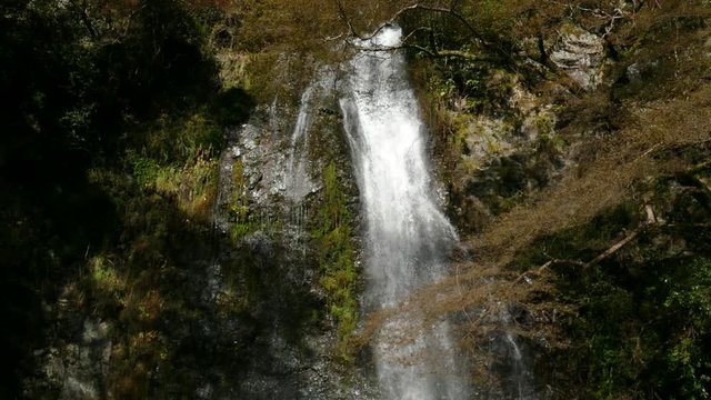 Tilt down shot of Mino (or Minoo, Mino-o, Minoh) waterfall with rainbow in Osaka, Kansai region, Japan. 
