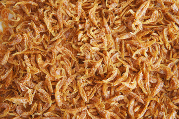 Many little red dried shrimps background