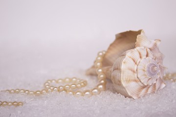 Obraz na płótnie Canvas Sea Shell and Pearls