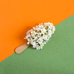 Creative idea: flowers of white lilac on stick like popsicle