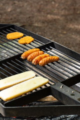 Barbecue over a fire