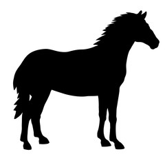 Silhouette of a standing horse