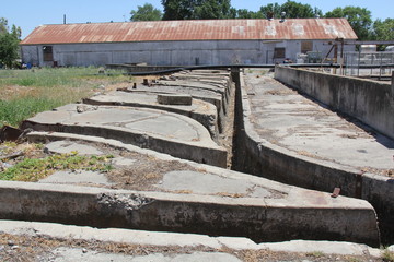 Sugar Mill processing