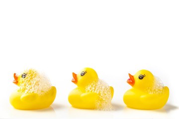 3 Yellow rubber ducks with soap suds on their heads, swimming in a line on white background - obrazy, fototapety, plakaty
