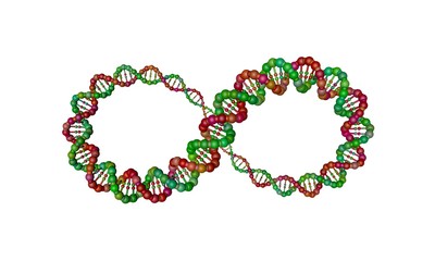 DNA strand in form of infinity sign. 3D rendering illustration.