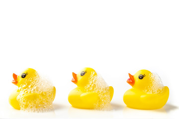 3 Yellow rubber ducks with soap suds on their heads, swimming in a line on white background - obrazy, fototapety, plakaty