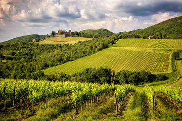 Fototapeta na wymiar Castles and vineyards of Tuscany, Chianti wine region of Italy