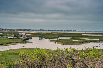 Nantucket Harbor Tidal Marsh