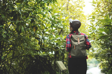 Asian girl traveler walking in the forest.