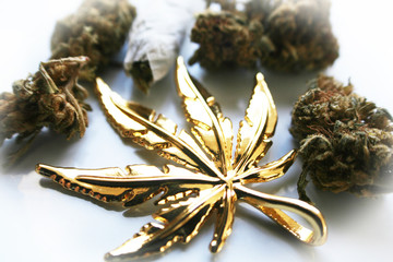 Cannabis Sativa With Bud, Doobie & Gold Marijuana Leaf High Quality 