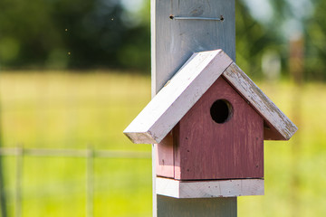 Cute wren bird house