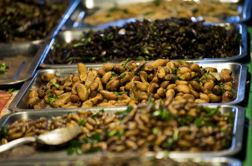 Worms and insects can be used to cook food and nutritious and popularization of some groups in the country