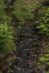 Klokotivy creek in Jizerske mountains in spring day
