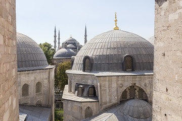 Fototapeta premium Blue mosque from Hagia Sophia