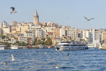 Fototapeta premium Galata Tower within the Golden Horn in the city of Istanbul, Turkey