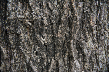 Abstract photo for background