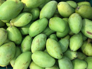 Mango, ripe fruit, known in popular to eat with rice or coconut milk to make ice cream or juice