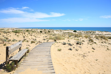 Fototapeta na wymiar Coto de Donana National Park in Province Huelva, Andalusia, Costa de la Luz, Spain