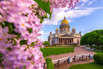 Saint Petersburg. Saint Isaac's Cathedral. Museums of Petersburg. St. Isaac's Square. Petersburg in colors. St. Isaac's Cathedral on a background of lilac. Russia. Flowering of lilac bushes.
