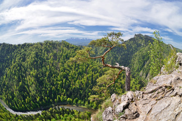 Naklejka premium Widok z Sokolicy. Pieniny.