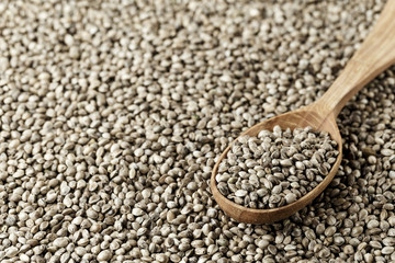 cannabis seeds in a wooden spoon
