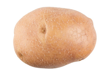 raw potato isolated