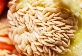 Background of seeds of green pepper