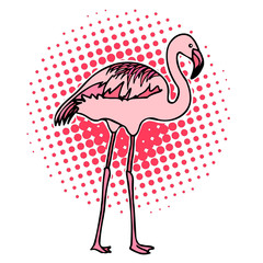 Bird flamingo vector illustration stock illustration