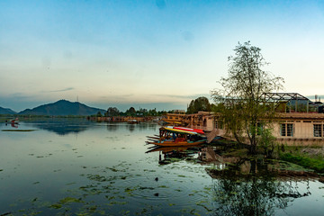 kashmir srinagar lagoon boat