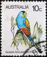 Golden-shouldered parrot on australian postage stamp