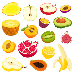 Bright vector set of fresh cartoon fruits isolated on white