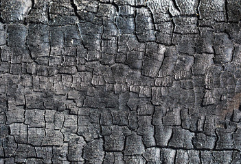 Burnt wood texture. Details on the surface of charcoal. Dark natural background