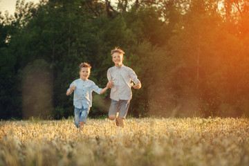 Naklejka na ściany i meble Happy children running around the field with dandalions onsummer sunset.