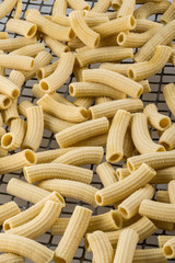 Macaroni pasta in drying