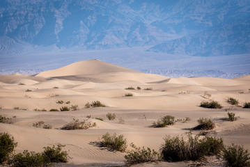 Fototapeta na wymiar Mesquite Flat Dunes in Death Valley National Park, California.