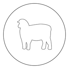 Sheep silhouette black icon in circle vector illustration isolated .