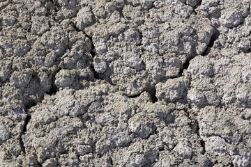 background, texture - lifeless cracked dry saline desert soil